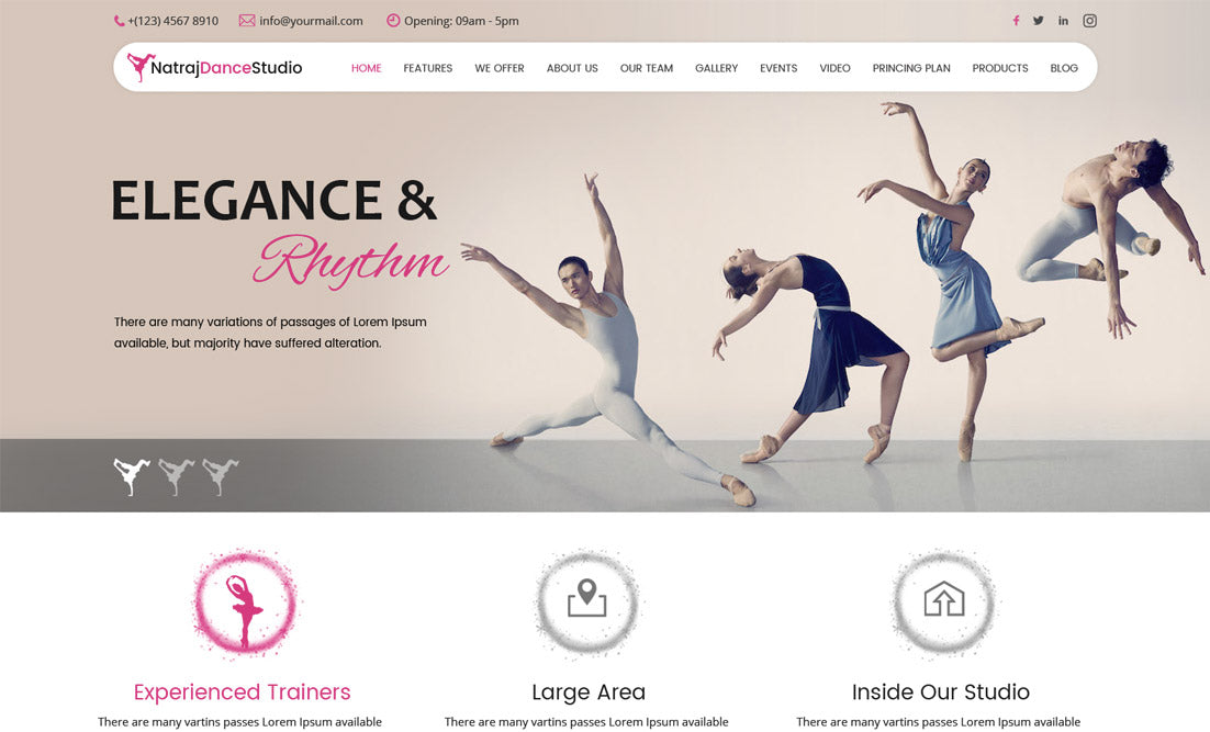 Free Dance WordPress Theme