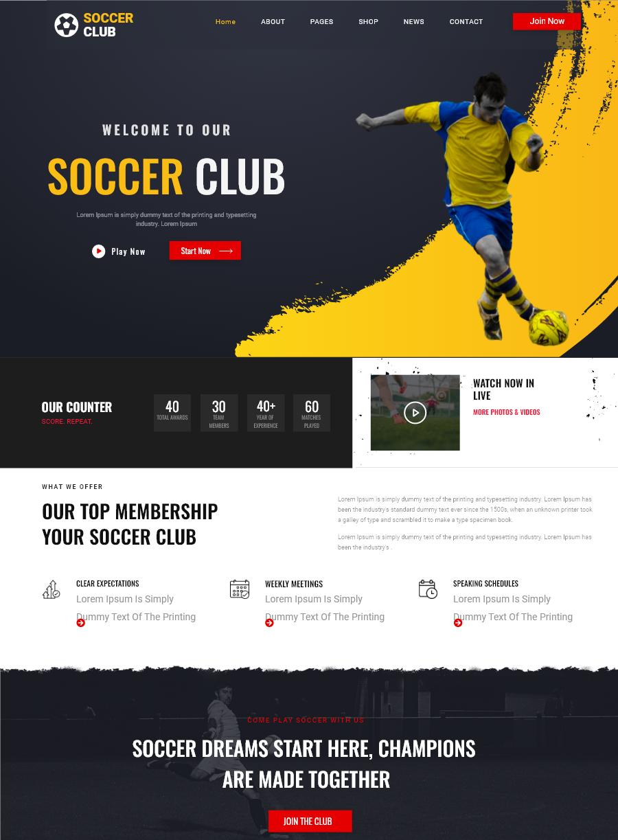 Soccer Club WP Theme