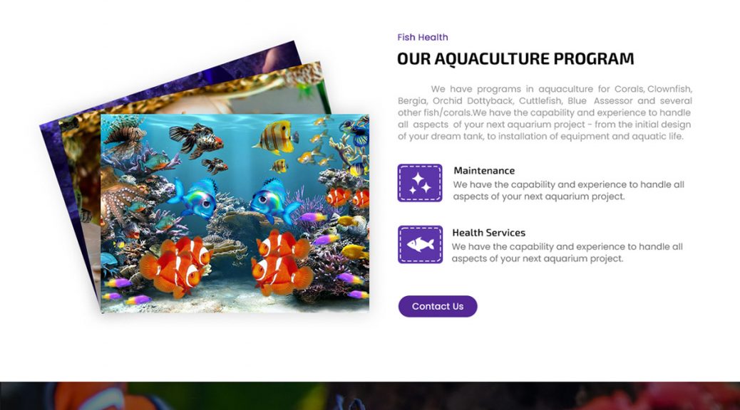 Aquarium Wordpress Theme